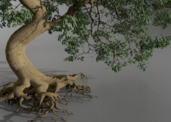 The Grove 11 tree modelling add-on for Blender released