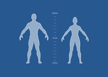 Scale Refs, Wirecolor Tools, Matcaps. Align Modifier and Batch Exporter for 3ds Max