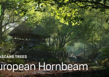 European Hornbeam Megascans trees released