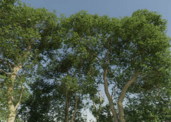 The Grove 2.0 released