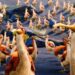 ENSI’s Boom short film wins Student Academy Award