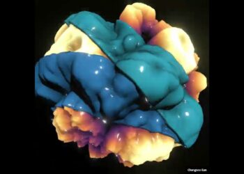 3ds Max 2024.2 released with significant improvements and a new Conform modifier