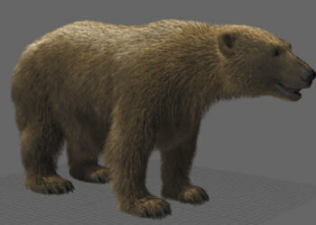 Yeti 5.0 released by Peregrine Labs