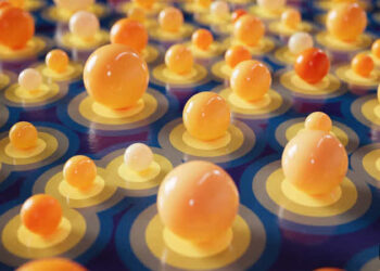 Maxon One 2024.5 released