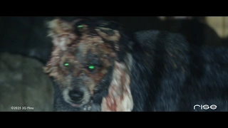 Rise’s VFX reel for “Together”