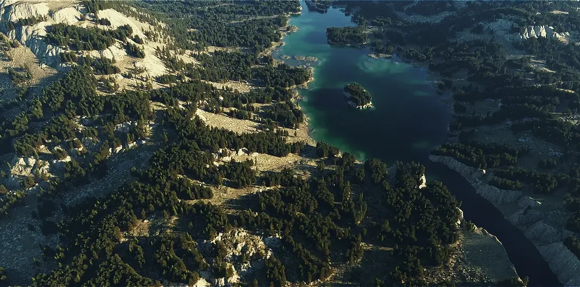 World Creator releases version 2025.1 with new biome system and more