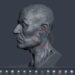 Sculpt Mesh for 3ds max released
